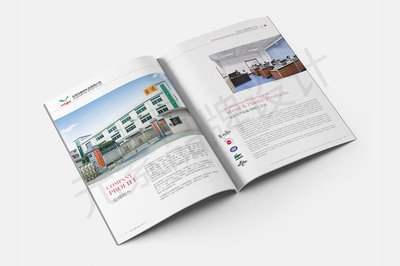 東莞一站式視覺營銷服務(wù) 畫冊設(shè)計、LOGO設(shè)計、網(wǎng)站建設(shè)與宣傳片拍攝制作全解析